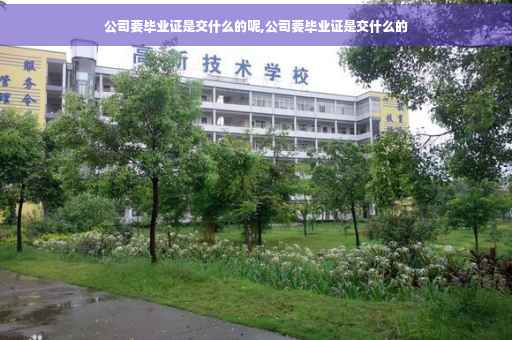 公司要毕业证是交什么的呢,公司要毕业证是交什么的