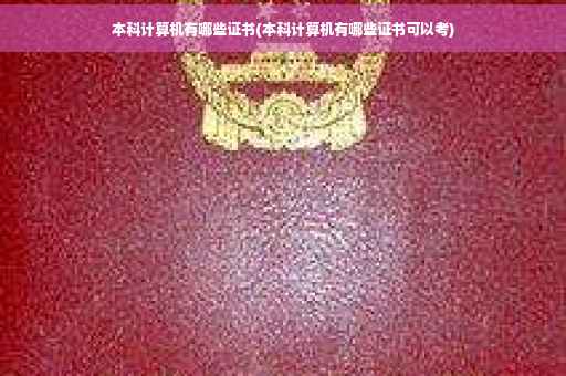 本科计算机有哪些证书(本科计算机有哪些证书可以考)
