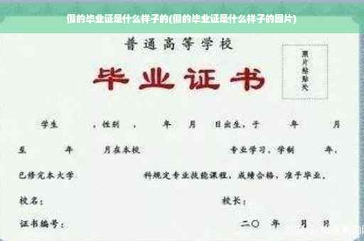 假的毕业证是什么样子的(假的毕业证是什么样子的图片)