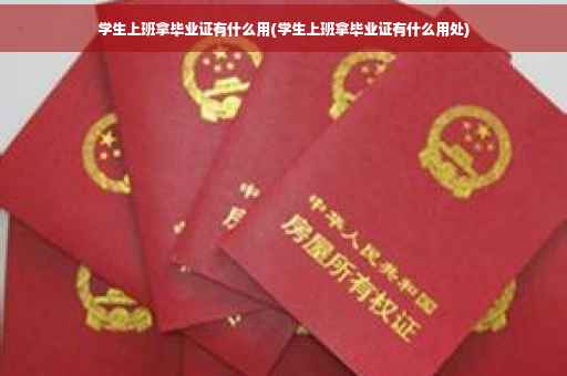学生上班拿毕业证有什么用(学生上班拿毕业证有什么用处)