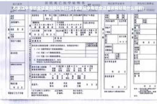 石家庄中专毕业证查询网站是什么(石家庄中专毕业证查询网站是什么样的)