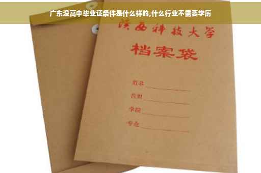 广东没高中毕业证条件是什么样的,什么行业不需要学历