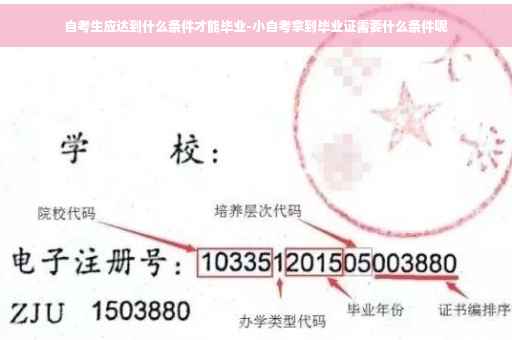 自考生应达到什么条件才能毕业-小自考拿到毕业证需要什么条件呢