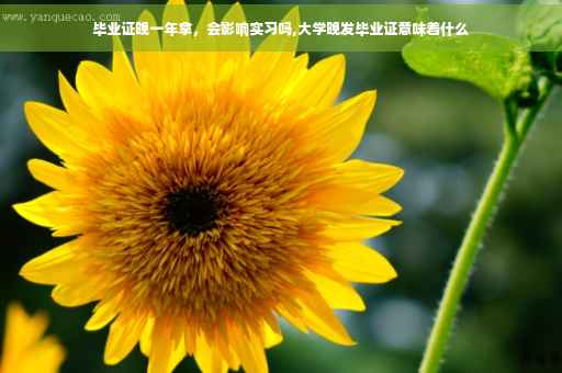毕业证晚一年拿，会影响实习吗,大学晚发毕业证意味着什么