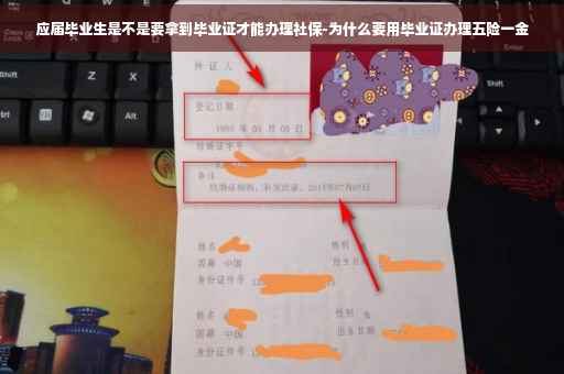 应届毕业生是不是要拿到毕业证才能办理社保-为什么要用毕业证办理五险一金