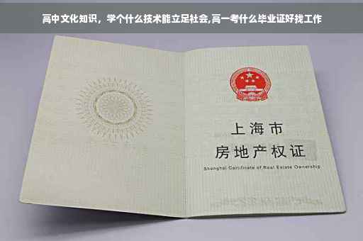 高中文化知识，学个什么技术能立足社会,高一考什么毕业证好找工作