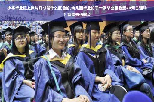 小学毕业证上照片几寸是什么底色的,幼儿园毕业拍了一张毕业照收费20元合理吗？就是普通照片
