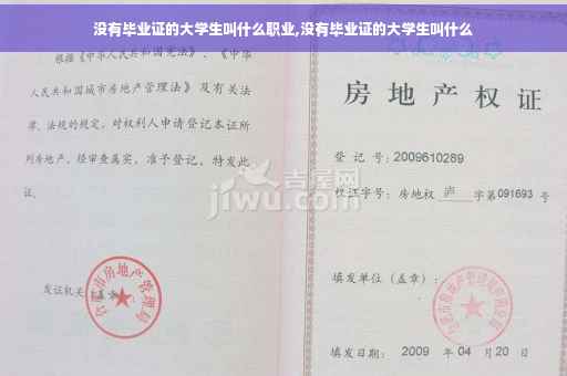 没有毕业证的大学生叫什么职业,没有毕业证的大学生叫什么