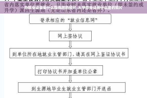 办就业证需要什么颜色底的照片,大学毕业证用什么底的照片