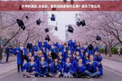 大学的系统,毕业后，报到证到底有什么用？丢失了怎么办