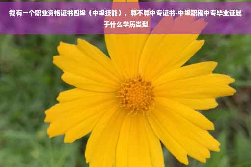 我有一个职业资格证书四级（中级技能），算不算中专证书-中级职称中专毕业证属于什么学历类型