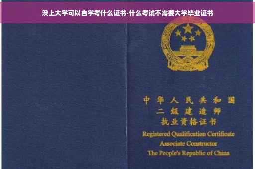 没上大学可以自学考什么证书-什么考试不需要大学毕业证书