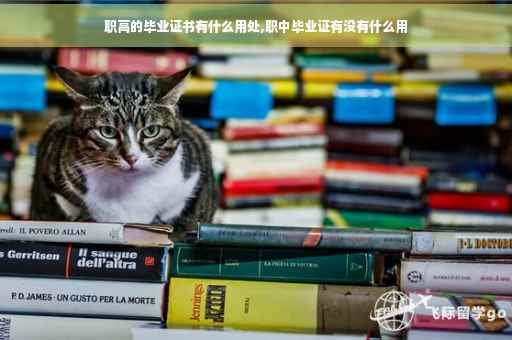 职高的毕业证书有什么用处,职中毕业证有没有什么用