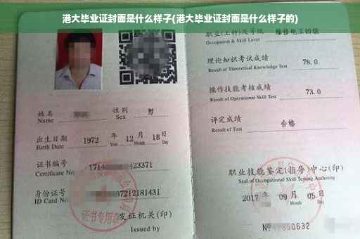 港大毕业证封面是什么样子(港大毕业证封面是什么样子的)