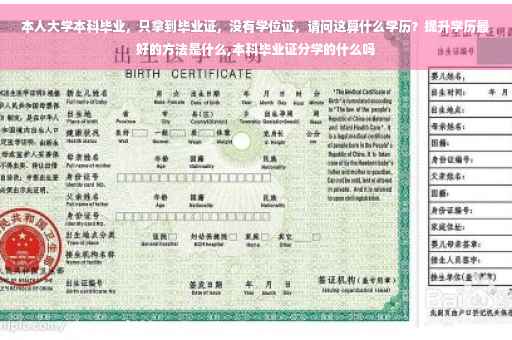 本人大学本科毕业，只拿到毕业证，没有学位证，请问这算什么学历？提升学历最好的方法是什么,本科毕业证分学的什么吗
