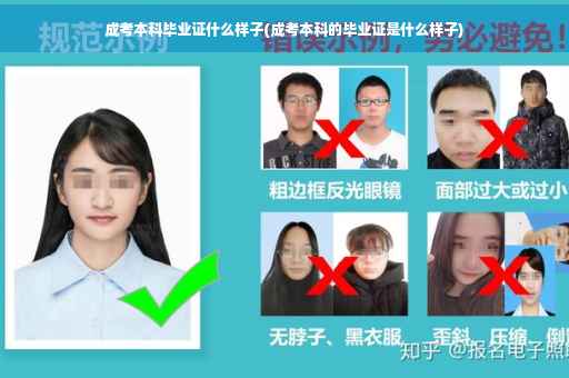 成考本科毕业证什么样子(成考本科的毕业证是什么样子)