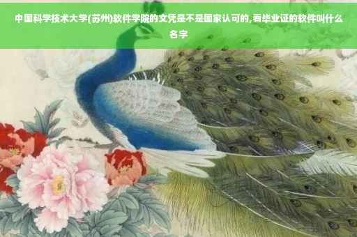 中国科学技术大学(苏州)软件学院的文凭是不是国家认可的,看毕业证的软件叫什么名字