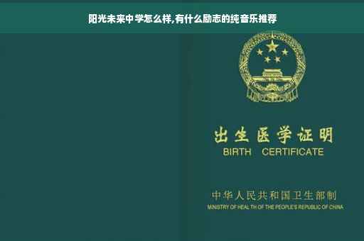 阳光未来中学怎么样,有什么励志的纯音乐推荐
