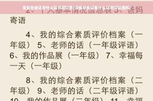 没有毕业证有什么证书可以用(没有毕业证有什么证书可以用吗)