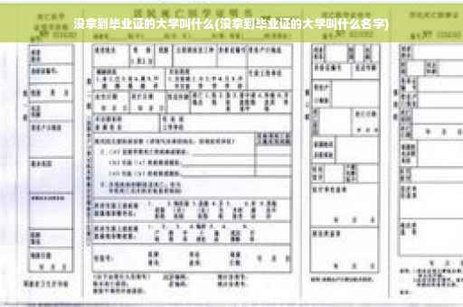 没拿到毕业证的大学叫什么(没拿到毕业证的大学叫什么名字)