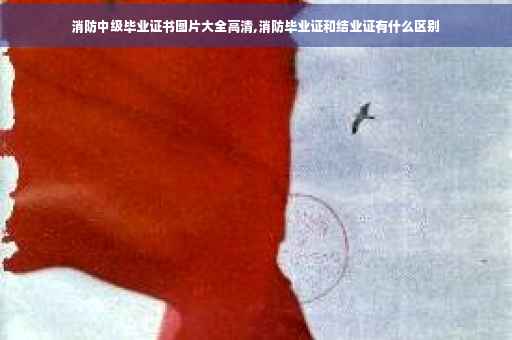 消防中级毕业证书图片大全高清,消防毕业证和结业证有什么区别