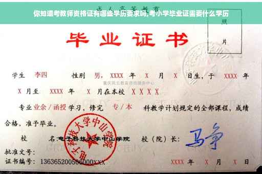 你知道考教师资格证有哪些学历要求吗,考小学毕业证需要什么学历