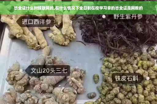 毕业证什么时候联网的,在什么情况下全日制在校学习拿的毕业证是网教的
