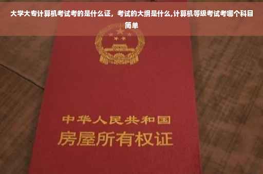 大学大专计算机考试考的是什么证，考试的大纲是什么,计算机等级考试考哪个科目简单