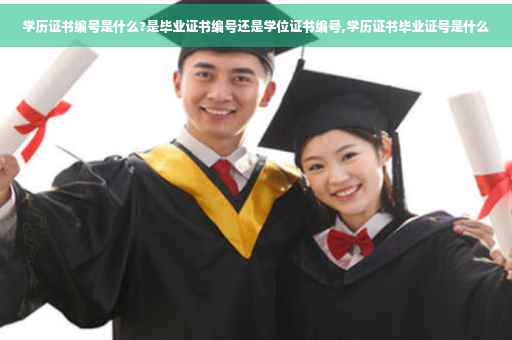 学历证书编号是什么?是毕业证书编号还是学位证书编号,学历证书毕业证号是什么