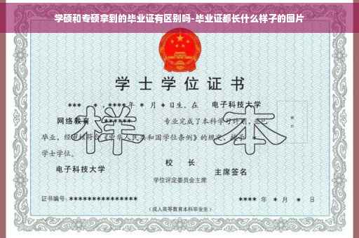 学硕和专硕拿到的毕业证有区别吗-毕业证都长什么样子的图片