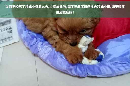 以前学校忘了领毕业证怎么办,中专毕业的,隔了三年了都还没去领毕业证,如果现在去还能领吗?