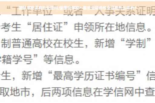 国际学校没有毕业证吗,像国际学校一般毕业后的毕业证是什么样的?