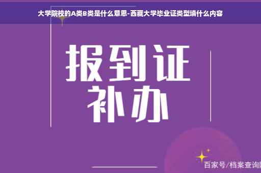 大学院校的A类B类是什么意思-西藏大学毕业证类型填什么内容