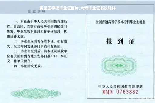 黄壁庄学校毕业证图片,大专毕业证书长啥样