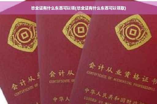 毕业证有什么东西可以领(毕业证有什么东西可以领取)