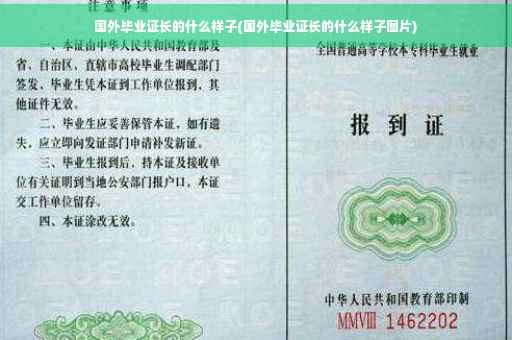 国外毕业证长的什么样子(国外毕业证长的什么样子图片)