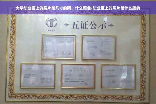 大学毕业证上的照片是几寸的阿，什么颜色-毕业证上的照片是什么底的