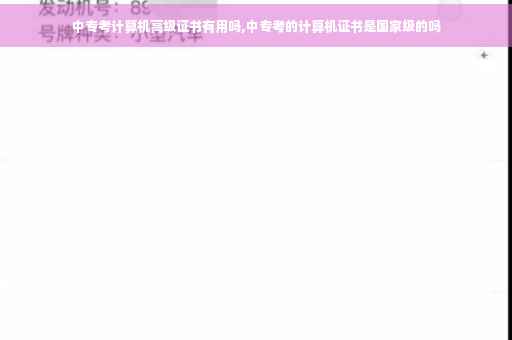 中专考计算机高级证书有用吗,中专考的计算机证书是国家级的吗