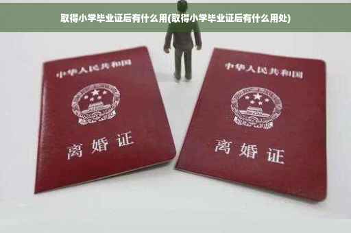 取得小学毕业证后有什么用(取得小学毕业证后有什么用处)