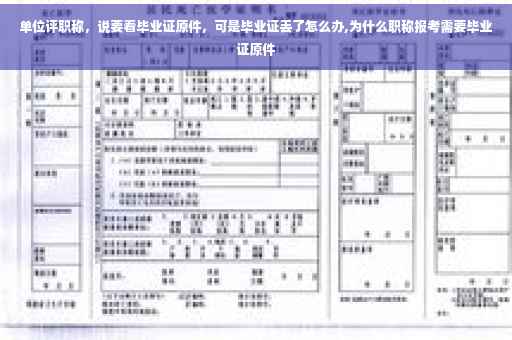 单位评职称，说要看毕业证原件，可是毕业证丢了怎么办,为什么职称报考需要毕业证原件
