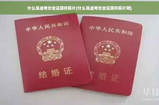 什么是成考毕业证原件照片(什么是成考毕业证原件照片呢)