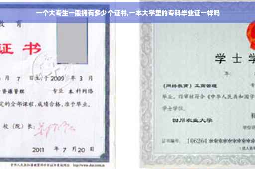 一个大专生一般拥有多少个证书,一本大学里的专科毕业证一样吗