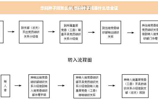 华科种子班怎么样,华科种子班是什么毕业证