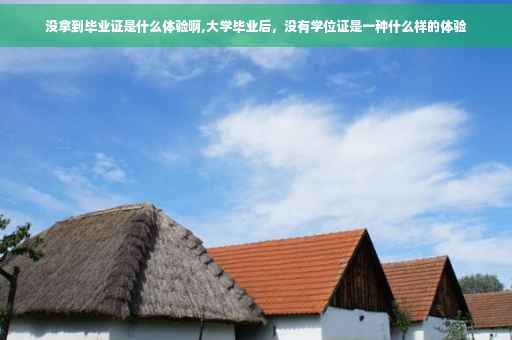 没拿到毕业证是什么体验啊,大学毕业后，没有学位证是一种什么样的体验