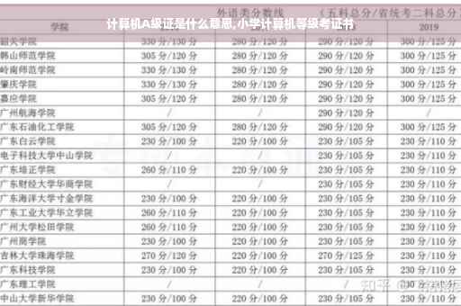 计算机A级证是什么意思,小学计算机等级考证书