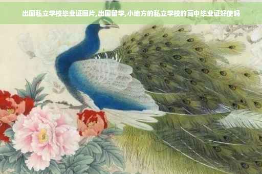 出国私立学校毕业证图片,出国留学,小地方的私立学校的高中毕业证好使吗