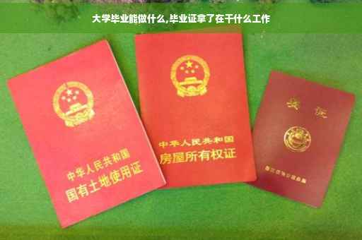 大学毕业能做什么,毕业证拿了在干什么工作