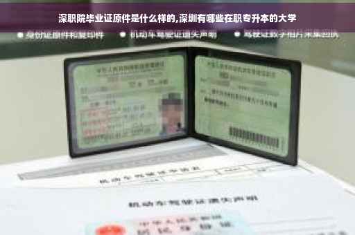 深职院毕业证原件是什么样的,深圳有哪些在职专升本的大学