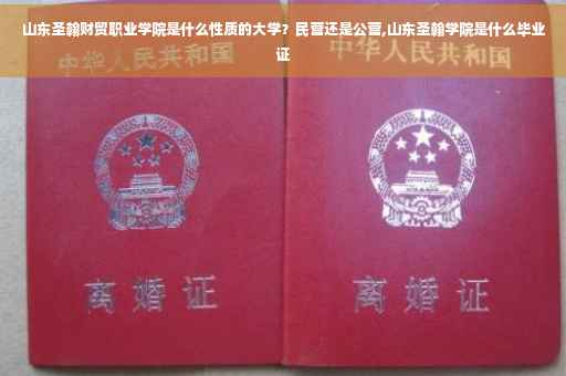 山东圣翰财贸职业学院是什么性质的大学？民营还是公营,山东圣翰学院是什么毕业证