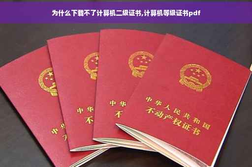 为什么下载不了计算机二级证书,计算机等级证书pdf